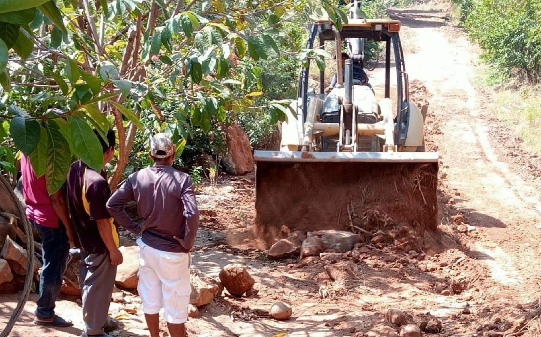 rehabilitación de colonia